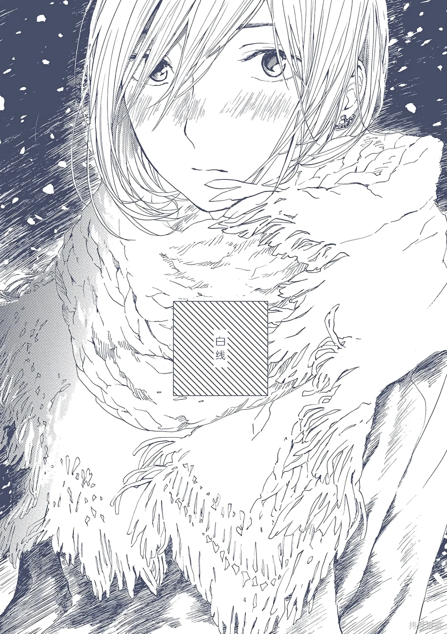 5 白线 第 1 页