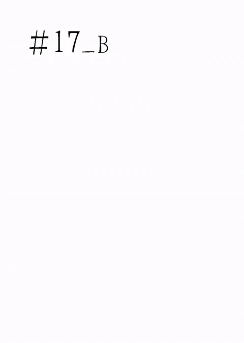 第17.5话 封面