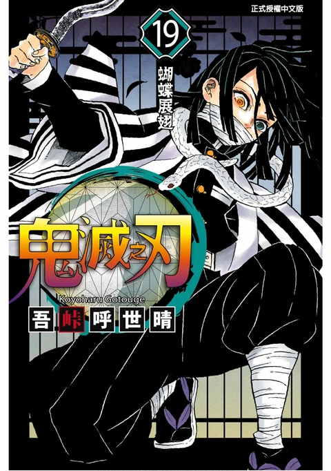 第19卷 封面