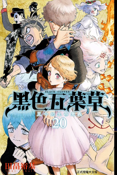 第20卷 封面