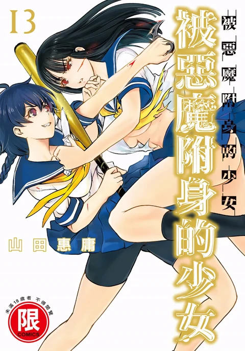 第13卷 封面