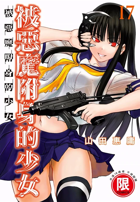 第17卷 封面
