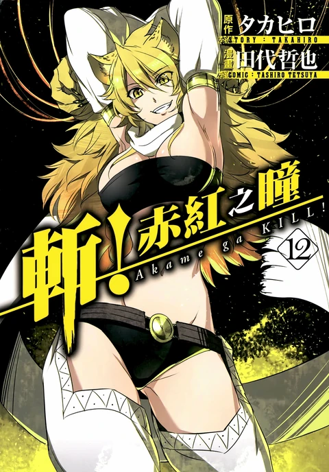 第12卷 封面