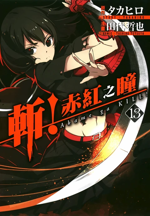 第13卷 封面