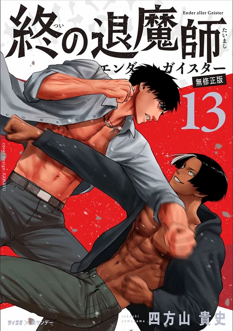 第13卷 封面